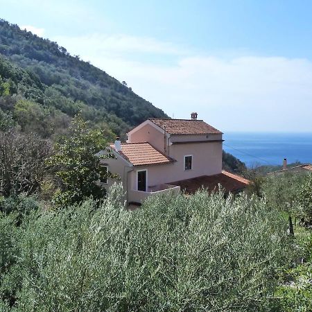Casa Puccini B&B Maratea Zewnętrze zdjęcie