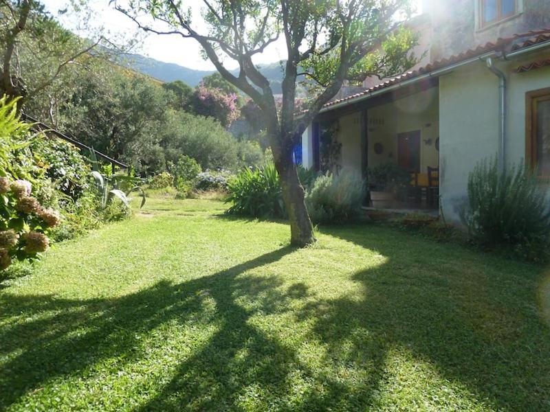 Casa Puccini B&B Maratea Zewnętrze zdjęcie