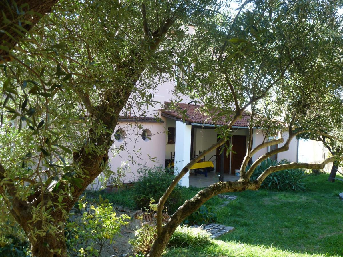 Casa Puccini B&B Maratea Zewnętrze zdjęcie