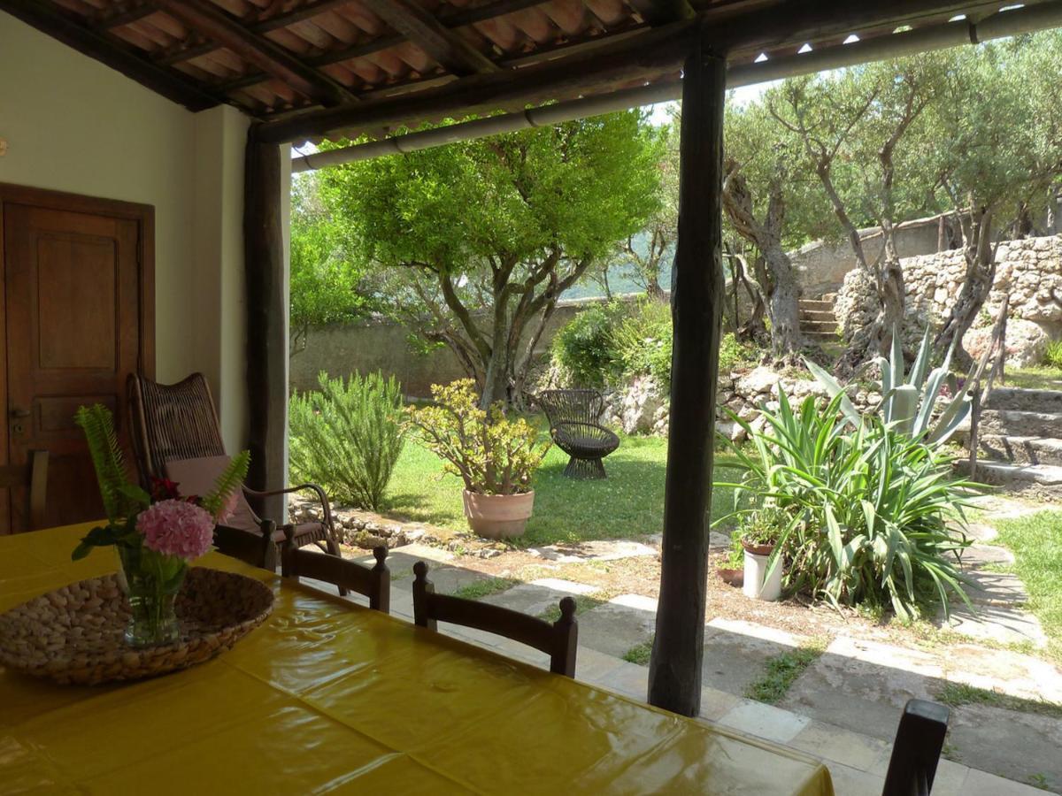 Casa Puccini B&B Maratea Zewnętrze zdjęcie